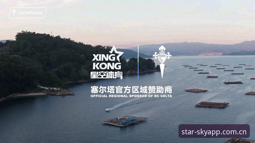 AAZ3呼号海外华人安装 星空体育平台年度版AAZ3呼号深度评测:海外华人安装避坑全指南